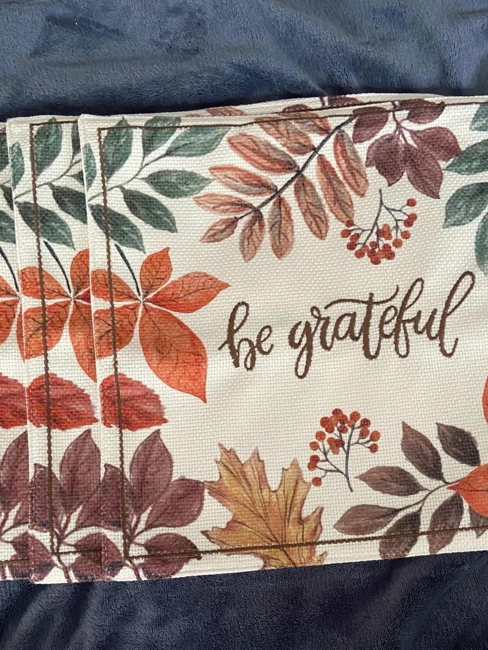 Cupcakes and Cashmere Fall Placemats NWOT Set of 4 Thanksgiving Square
